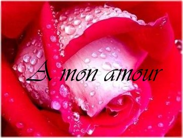mon amour